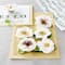Paper Magnolia Flower Embellishments by Recollections™